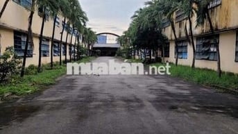 Cho thuê kho 368 triệu,46x 100m mặt tiền nhánh Trần Đại Nghĩa,Tân Kiên