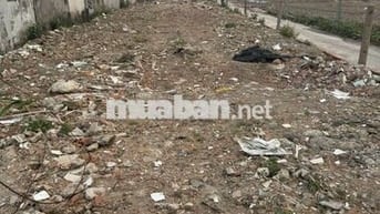 Bán đất tại An Phú Đông, Quận 12