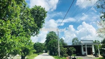 25x44 Tổng 1100m Có Sẵn 240 Thổ Cư Long Mỹ Phước Hải