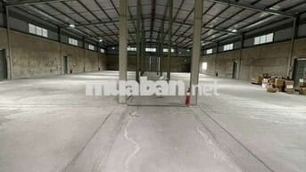 Xưởng cho thuê Tân Phú Trung củ Chi TP HCM giá 120tr