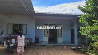 chính chủ bể nợ cần bán gấp đất tặng nhà cấp 4