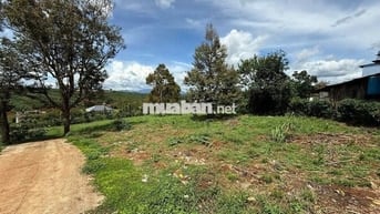 BÁN ĐẤT TẠI THỊ TRẤN DI LINH (LÂM ĐỒNG) - VỊ TRÍ ĐẸP , TIỀM NĂNG