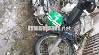 Bán driem lùn nhật