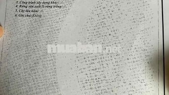 đất thổ cư 1,8ty cách võ văn kiệt 70m sau lưng Dê đệ nhất cần thơ