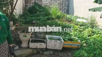 Đất gần kdc Tứ Hải, phường Tân Đông Hiệp, TP Dĩ An