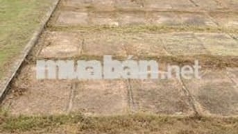 Bán mộ đôi sala garden ( 198tr/ 1 cặp)