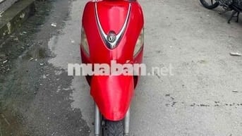 Attila Elizabeth Fi Biển Số Thành Phố