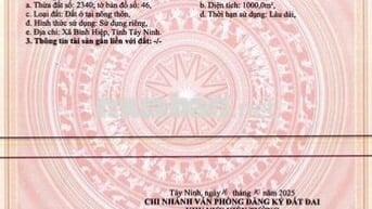 ĐẤT 1000 M2 ,THỔ CƯ 100% LONG AN - HÀNG HIẾM