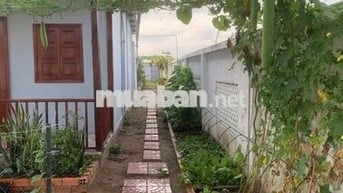 CĂN NHÀ VƯỜN SIÊU RỘNG 570M ĐẸP 900 TRIỆU THƯƠNG LƯỢNG