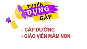Trường Mầm non Quốc Tế Thiên Thần Nhỏ cần tuyển: Cấp dưỡng; Giáo viên