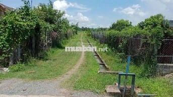 ĐẤT VƯỜN GIÁ TỐT KHU VỰC GÒ DẦU TÂY NINH, 1000M2 GIÁ 1 TỶ