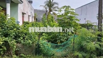 Bán Đất Thổ Cư Ấp Trung Xã Đông Thạnh