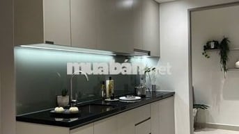 Chính chủ bán căn hộ The Gió 41m2 450tr