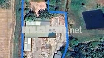 Dt 4467m2 có sổ hồng riêng 200m3,