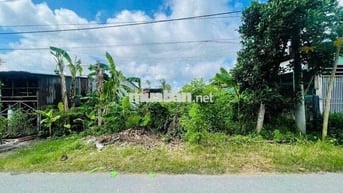 🌳 BÁN LÔ ĐẤT ĐẸP 510m2 – MẶT TIỀN NGUYỄN THỊ THẠO, CỦ CHI 🌳