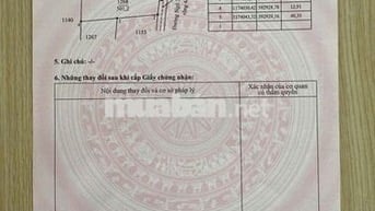 501m2 Đất vườn đường xe hơi cần bán gấp