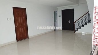 Cho thuê căn hộ Penthouse Bảy Hiền Tower