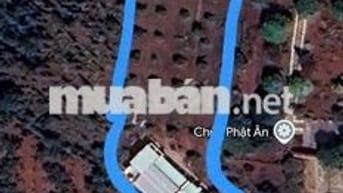 Bán GẤP nhà và đất vườn sầu riêng tại xã Bàu Chinh,Huyện Châu Đức BRVT