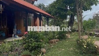 BÁN 9.2 SÀO NHÀ VƯỜN VIEW SUỐI - CÁCH PHỐ BMT 12Km