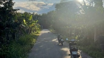 Cần bán 1 sào đất vườn trên đất đang có vườn mít