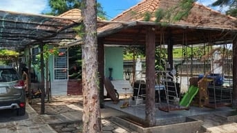 Bán Đất Mặt Tiền Đường Hướng Biển Thị Trấn Cần Thạnh Cần Giờ TPHCM 