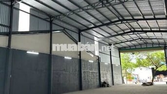 Cần cho thuê gấp kho ở Đường Phạm Hữu Lầu diện tích 630m2 đường cont