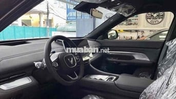 HCM- cần bán VF9 Vin24 Plus CATL Đen trần kính