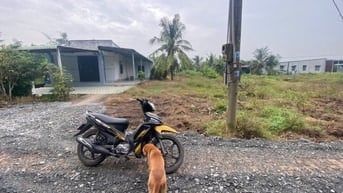 6x35 có thổ. Gần nhựa. Gần chợ và trường học. 590tr 