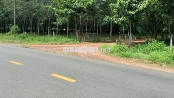 Bán Đất Ở Mặt Tiền Đường DH 519