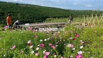 ĐẤT VƯỜN ĐẸP VIEW ĐỒI THÔNG, GIÁP SUỐI SIÊU ĐẸP