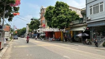 ĐÓN ĐẦU DỰ ÁN THÀNH PHỐ THÔNG MINH CÔNG VIÊN KIM QUY- Ô TÔ 7 CHỖ ĐỖ CỬ