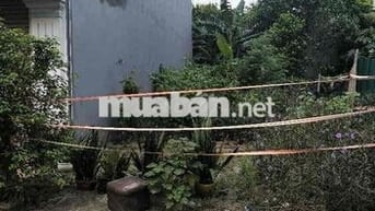 Bán đất phân lô 65m, full thổ cư, đường ô tô tránh, đất ở đô thị