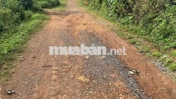 Lốc 10 lô liền kề full thổ cư trục chính sân bóng Tara