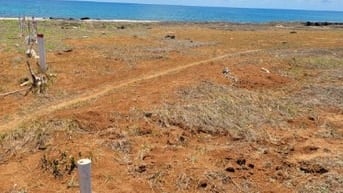 Bán đất mặt biển xã Long Hải huyện đảo Phú Quý