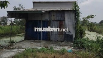 CHO THUÊ KHO CHỨA HÀNG - DT RỘNG GIÁ RẺ