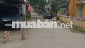 Bán lô đất đẹp lô góc kiệt ô tô Trần Thủ Độ Điện Ngọc Quảng Nam