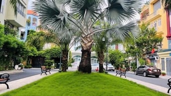 Bán Biệt thự 130m2 khu compound 357a Nguyễn Trọng Tuyển