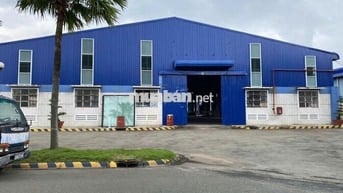 Cho thuê 3 kho chứa hàng 800m2 - 1.800m2 - 2.200m2 Tỉnh lộ 10 Bình Tân