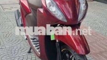 🍎Vision Fi mẫu mới Bs43 keng