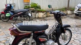 Xe dream Hàn Quốc