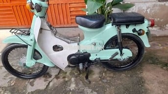 Honda cup 50cc