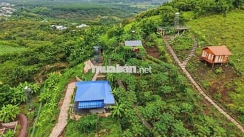 870tr/ 1000m2 VƯỜN XANH GIÁP SUỐI - VIEW HỒ TRỊ AN