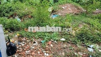 Ban đat thuan an phuong hung đinh