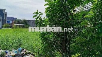 Đất đẹp cao ráo ngay chợ khu trung tâm sầm uất