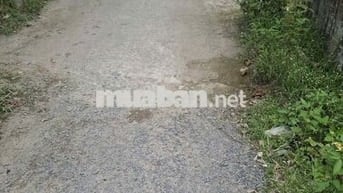 Đất thổ 167m2 sau UBND, cách BV-Trường học-Trạm y tế Mỹ Hạnh Nam 250m