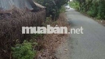 🌿 BÁN TRANG TRẠI VIEW SÔNG – MẶT TIỀN NHỰA ĐẶNG VĂN BÚP