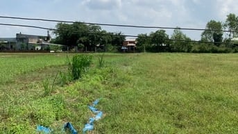 Chủ cần tiền trả nợ cho con út bán-Đức Hòa Thượng 7x32 ,224m2 850tr