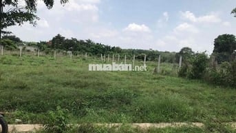 CHÍNH CHỦ BÁN LỖ ĐẤT THỔ CƯ SÔNG XOÀI CHO ANH CHỊ ĐẦU TƯ