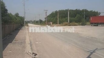 CHO THUÊ BÃI CONT 3000m2 đến 50000m2 – LONG THÀNH, ĐỒNG NAI