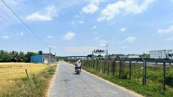 🌹 Đất thổ+lúa dt 1008m có 470m thổ còn lại lúa giá 2tỷ8 thanh đức B,L